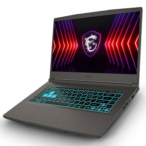 MSI Thin 15 (B13UCX-3018XFR)