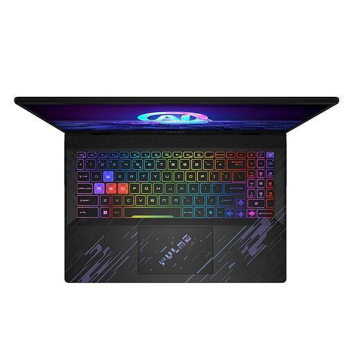 MSI Pulse 17 AI (C1VGKG-009FR)