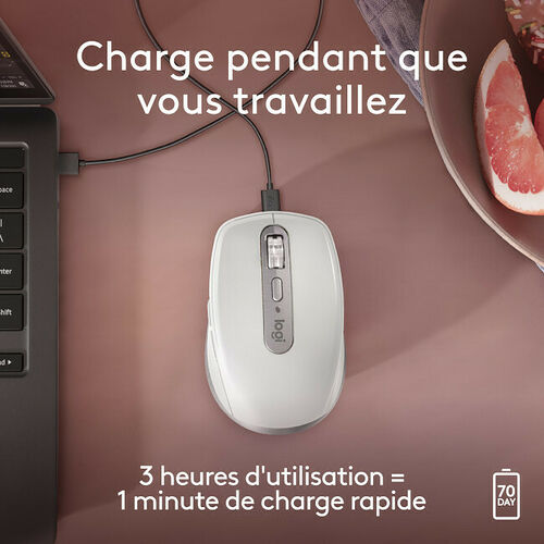 Logitech MX Anywhere 3S For Mac - Gris Pâle