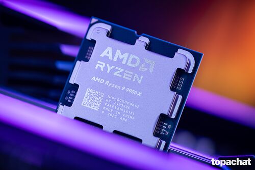 AMD Ryzen 9 9900X (4.4 GHz) - Version Tray