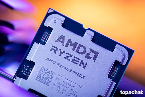 AMD Ryzen 9 9900X (4.4 GHz) - Version Tray