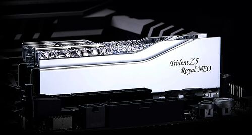 DDR5 G.Skill Trident Z5 Royal Argent - 48 Go (2 x 24 Go) 8000 MHz - CAS 40