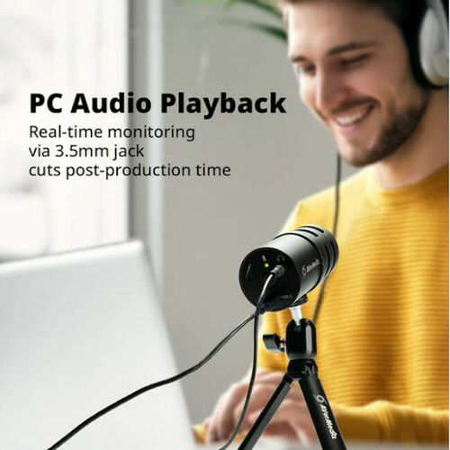 AVerMedia AM310G2