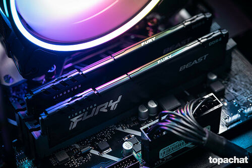 PC Gamer ROGUE - Powered by Asus (Edition limitée)