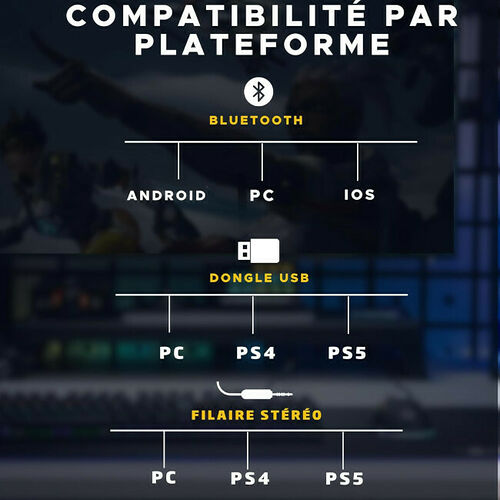 The G-Lab Korp Platinium (Noir)