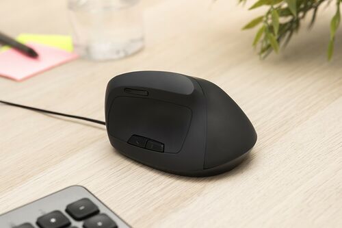 Bluestork Ergono Mouse