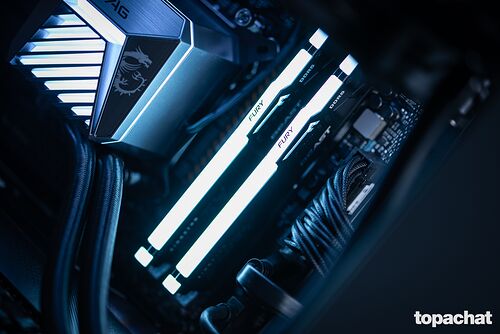 PC Gamer DAWN