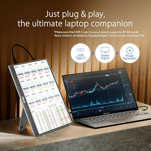 ASUS ZenScreen OLED MQ16AHE