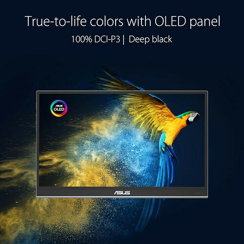 ASUS ZenScreen OLED MQ16AHE