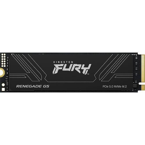 Kingston FURY Renegade G5 8 To