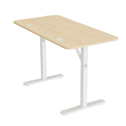 REKT R-Desk 120 - Wood