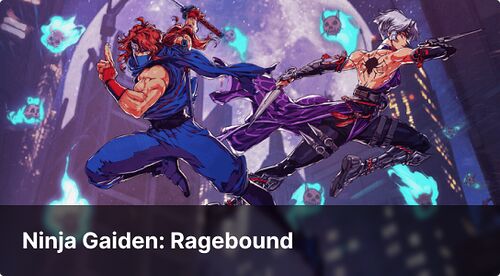 config NINJA GAIDEN: Ragebound