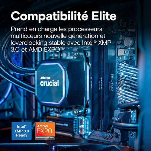 DDR5 Crucial Pro Overclocking - 32 Go (2 x 16 Go) 6400 MHz - CAS 32