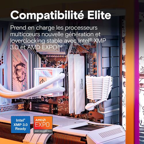 DDR5 Crucial Pro Overclocking Blanc - 32 Go (2 x 16 Go) 6400 MHz - CAS 32