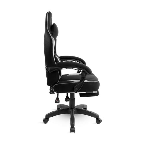 Spirit of Gamer Raven