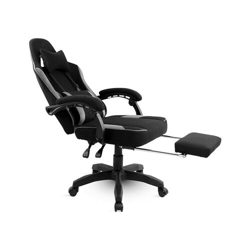 Spirit of Gamer Raven