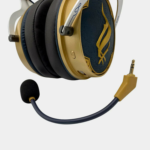 Lexip X Warner Hogwarts Legacy Headset
