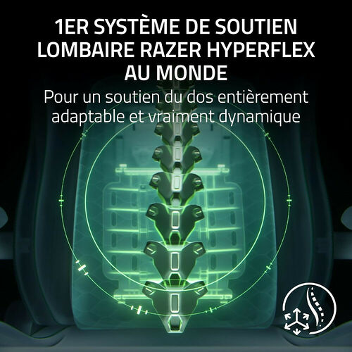 Razer Iskur V2 NewGen - Gris