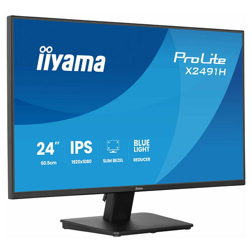Iiyama Prolite X2491H-B1
