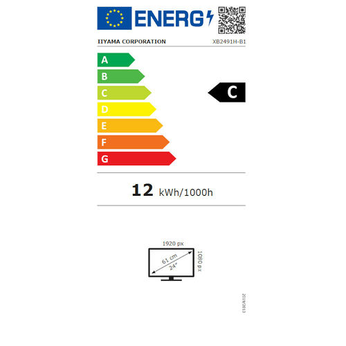Iiyama Prolite XB2491H-B1
