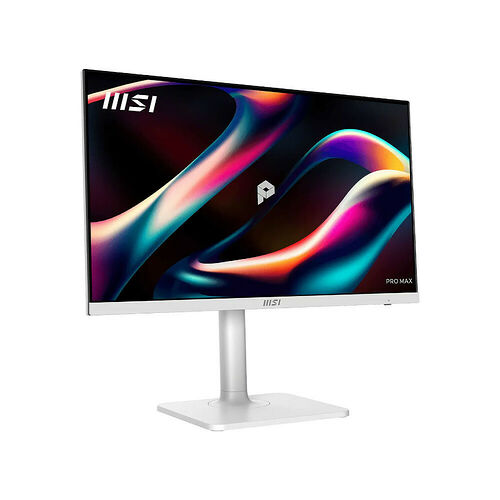 MSI PRO MAX 241PHW E14