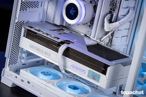 PC Gamer VECTOR