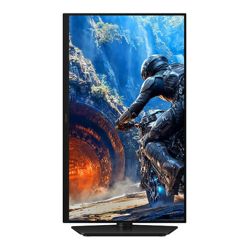 Samsung Odyssey G4 S25HG402EU