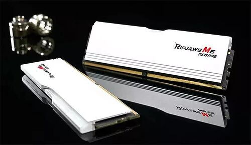 DDR5 G.Skill RipJaws M5 Neo Blanc RGB - 48 Go (2 x 24 Go) 6000 MHz - CAS 30