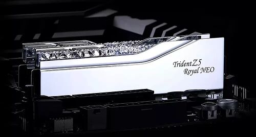 DDR5 G.Skill Trident Z5 Royal Neo Argent - 32 Go (2 x 16 Go) 6400 MHz - CAS 30