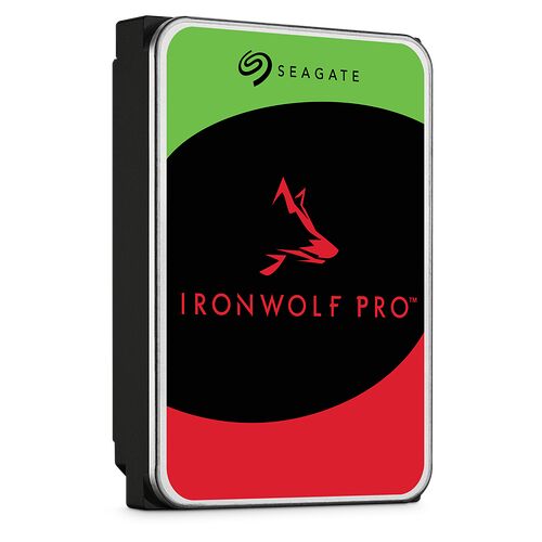 Seagate IronWolf Pro 6 To