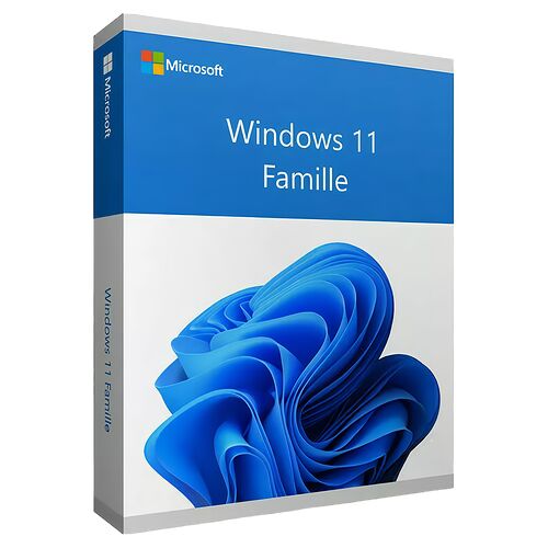 Boîte de la licence officielle Windows 11
