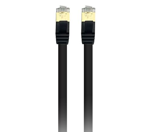 Deux câbles Ethernet noirs avec des connecteurs RJ45 dorés.
