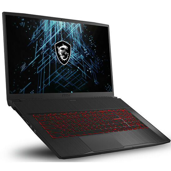 MSI GF75 Thin (10UD-091FR)