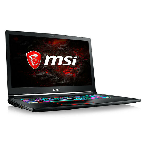 MSI GE73 8RF-030XFR Raider