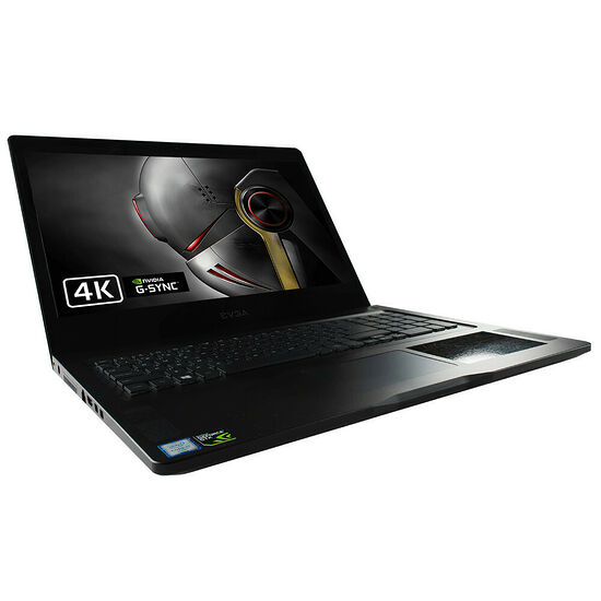 EVGA SC17 (768-41-2633-T5) G-SYNC