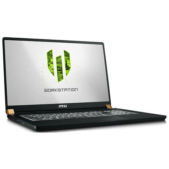 MSI WS75 (9TL-1233FR)