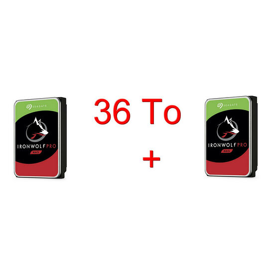 Seagate IronWolf Pro 18 To Pack de 2