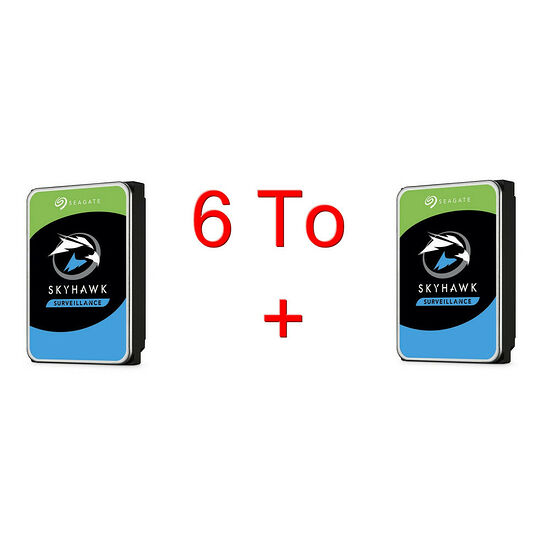 Seagate SkyHawk 3 To Pack de 2