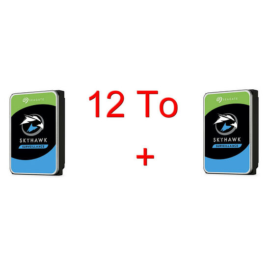 Seagate SkyHawk 6 To Pack de 2