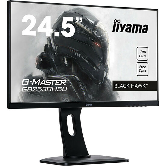 Iiyama G-Master GB2530HSU-B1 FreeSync