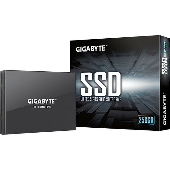 Gigabyte UD Pro 256 Go