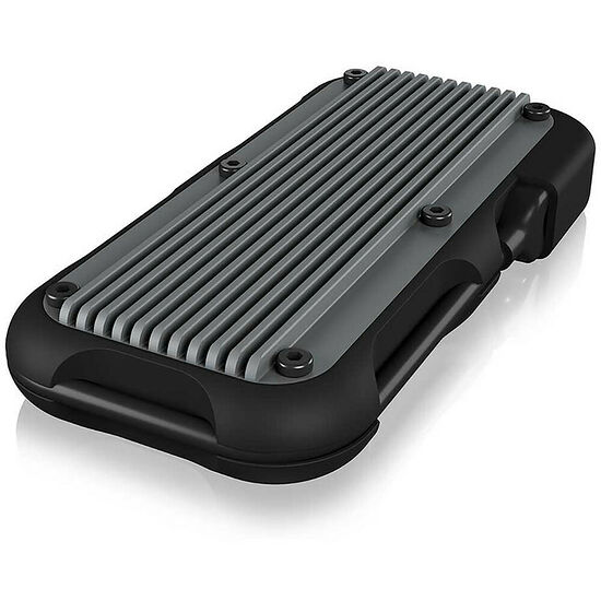 Icy Box IB-1819M-C31