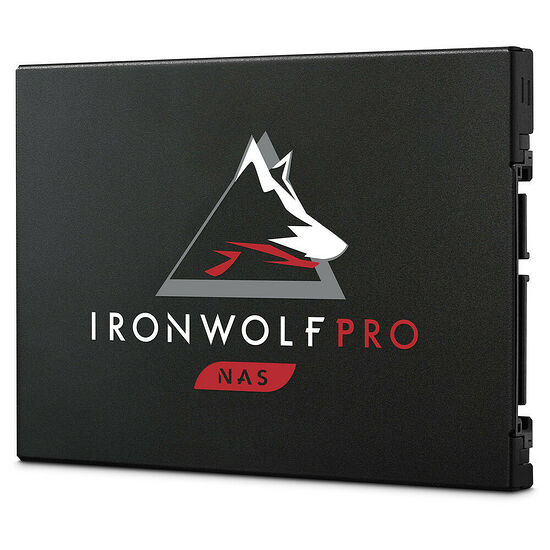 Seagate IronWolf Pro 125 240 Go