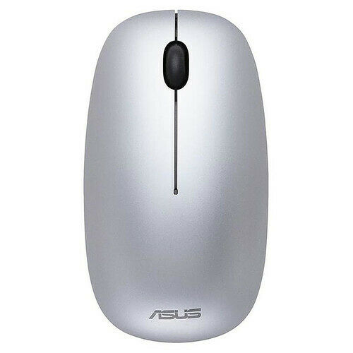 Asus MW201C - Gris