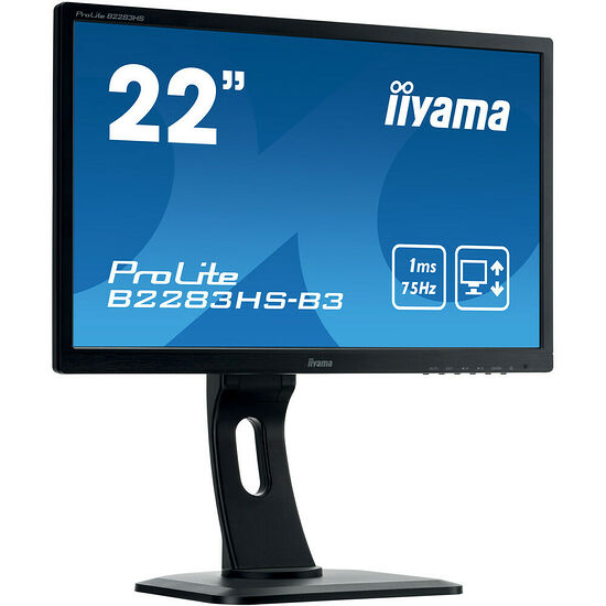 Iiyama ProLite B2283HS-B3