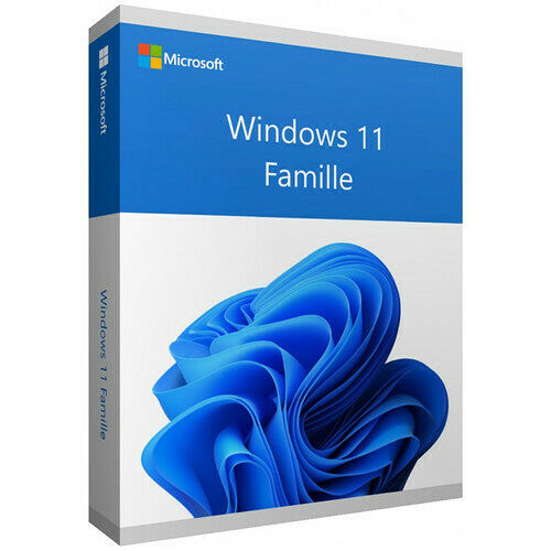 Microsoft Windows 11 Famille - 64 bits - OEM (version DVD)