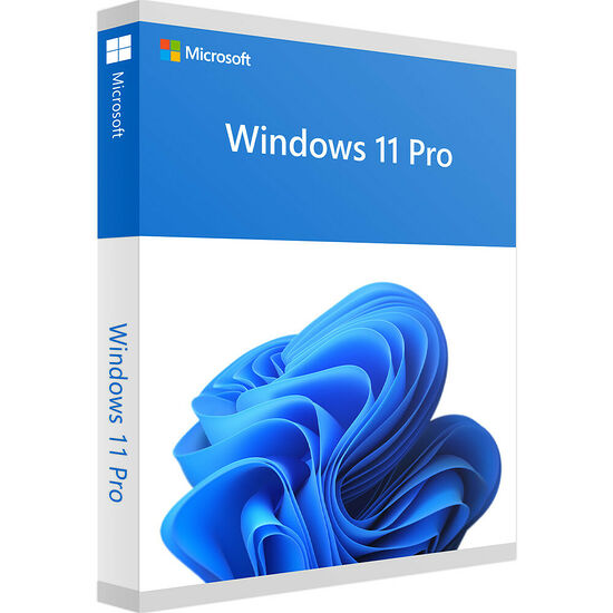 Microsoft Windows 11 Professionnel - 64 bits - OEM (version DVD)