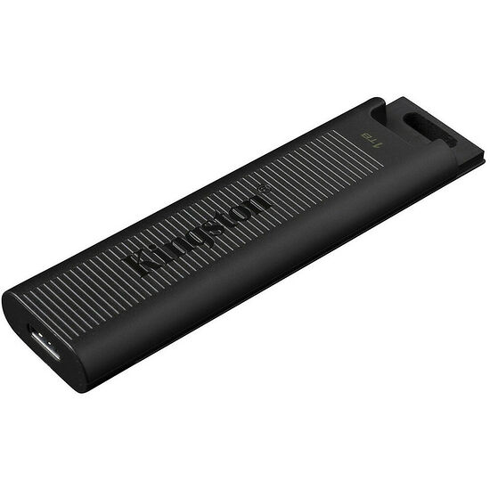 Kingston DataTraveler Max - Type-C - 1 To