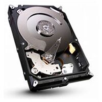 Disque dur Seagate ST500DM000, 500 Go