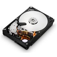 Disque dur Hitachi Deskstar 7K1000.D, 1 To